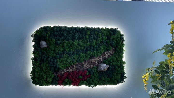 Картина из стабилизированного мха