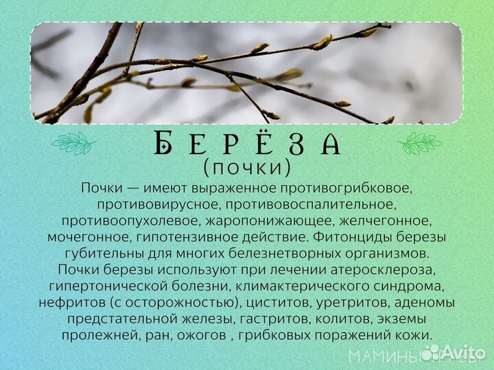 Травы лечебные