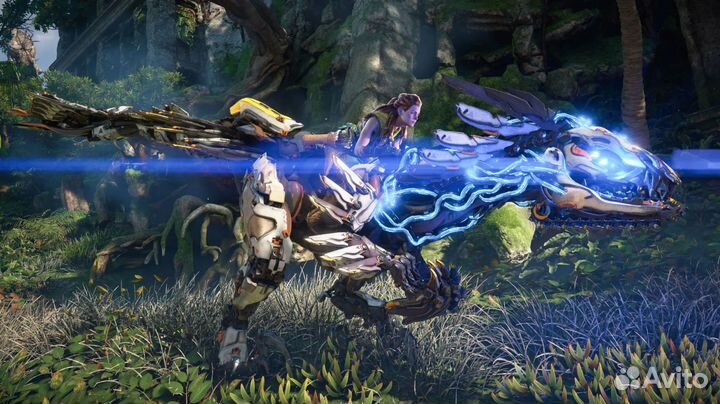 Horizon Forbidden west