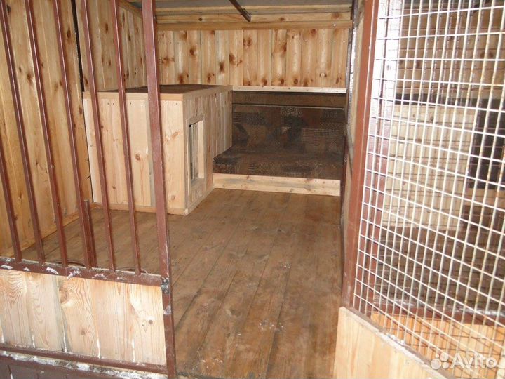 Передержка собак Гостиница для собак