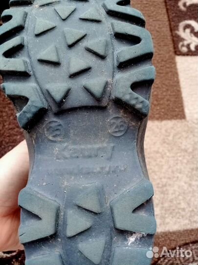 Пенки Каури