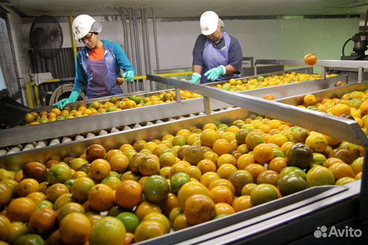 Разнорабочий на консервный завод.Питание+жилье