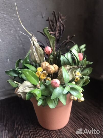 Букет из сухоцветов в кашпо