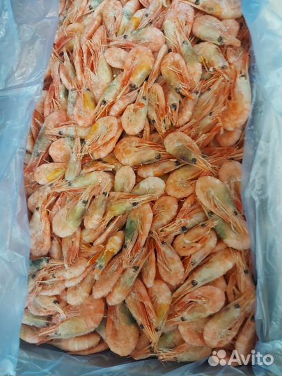 Креветка северная 5кг