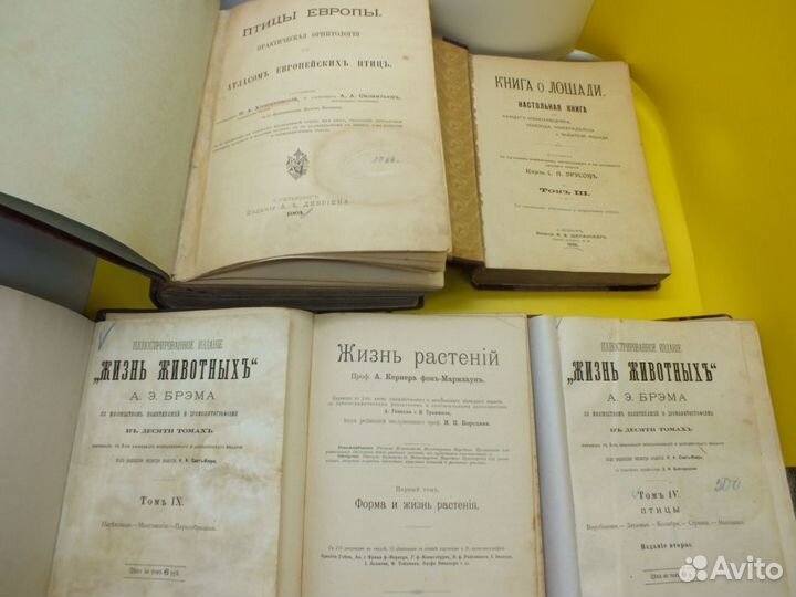 Книги Мир Природы