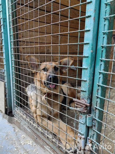 Забава хочет на диванчик