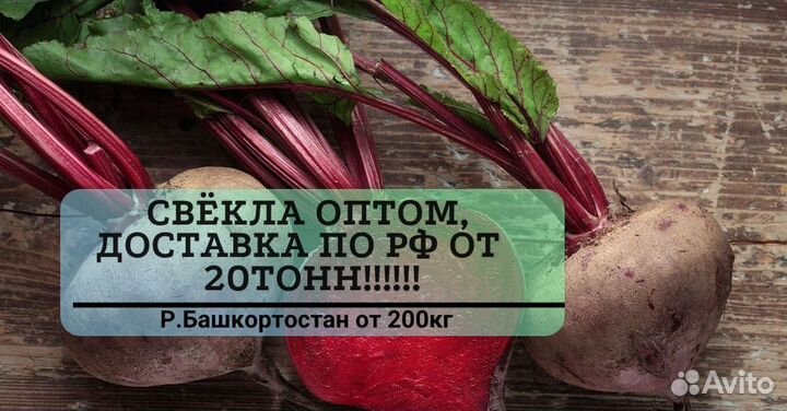 Свекла оптом от 20 тонн
