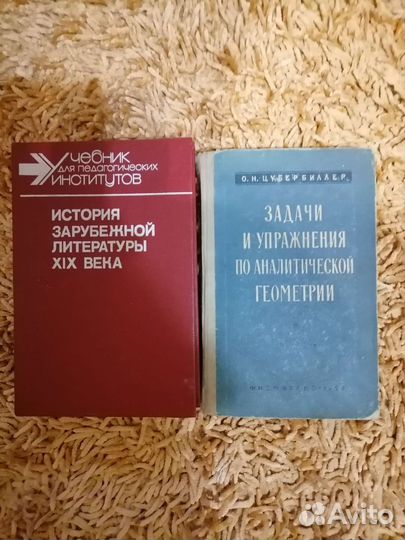 Учебники по литературе и геометрии, общепит