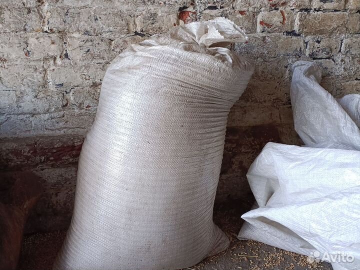 Свежий конский навоз, перегной