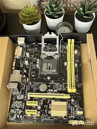 Материнская плата asus H81M-K