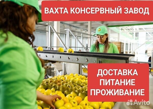 Сортировщик овощей на консервный завод Вахта