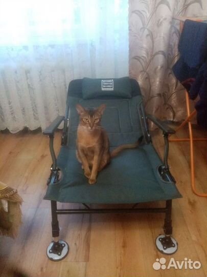 Стул складной для рыбалки