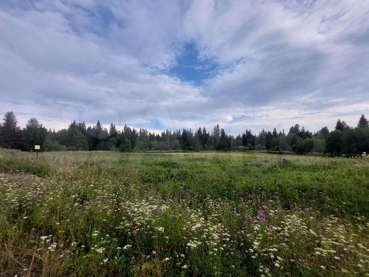 Участок 30 сот. (ИЖС)