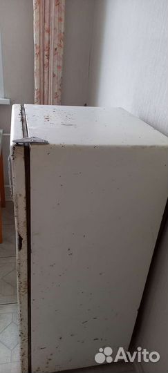 Холодильник Бирюса винтаж