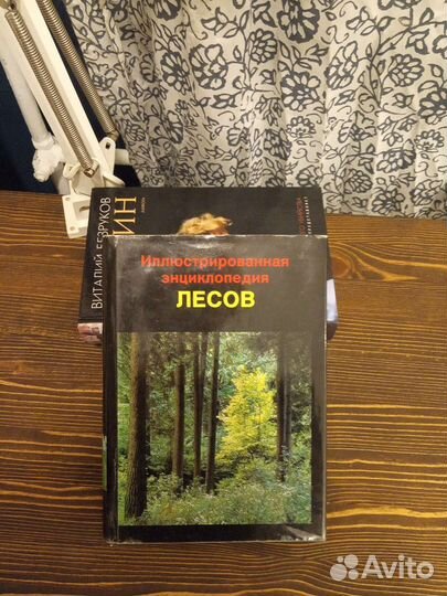Иллюстрированная энциклопедия лесов