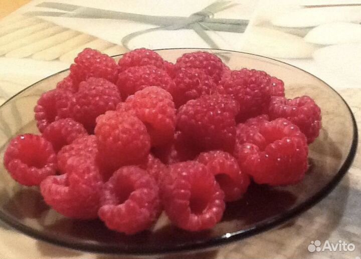 Саженцы малины садовой,кустами