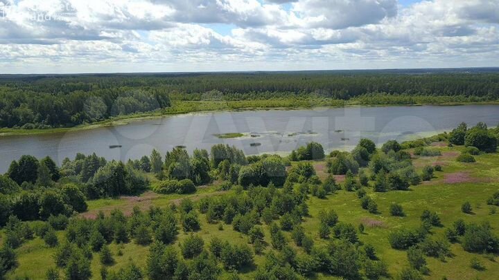 Участок 31 га (СНТ, ДНП)