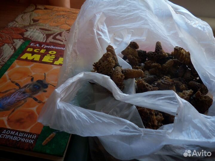 Подмор пчелиный