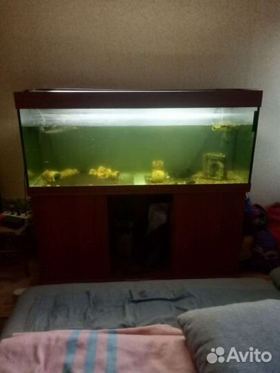 Аквариум с тумбой 400 литров. Компрессор+рыбки