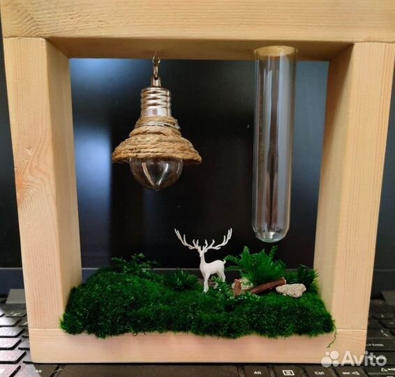 Рамка для цветов и сухоцветов