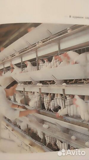 Путешествие на ферму