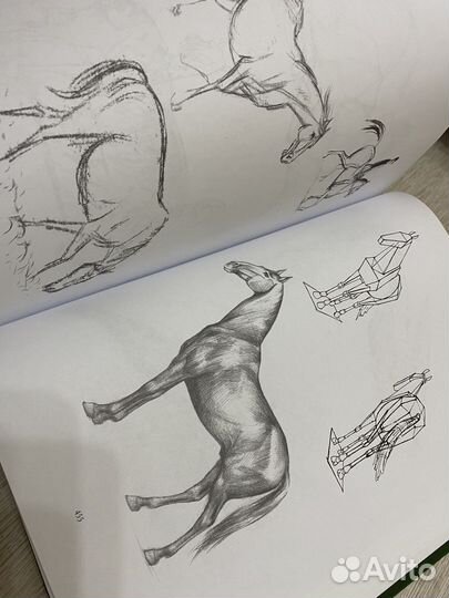 Основы учебного академического рисунка