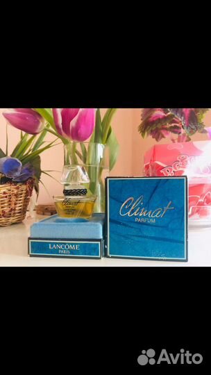 Сссср 1979 год Климат Клемат