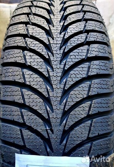 Dunlop SP Winter Maxx WM01 205/55 R16