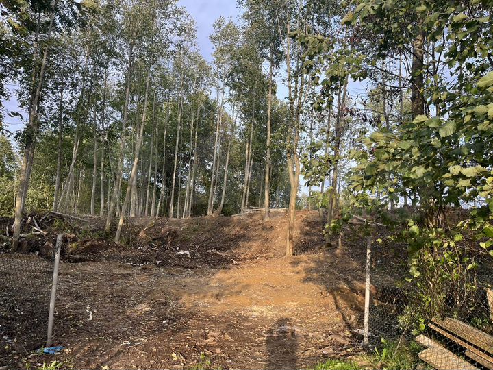 Участок 16,5 сот. (ИЖС)