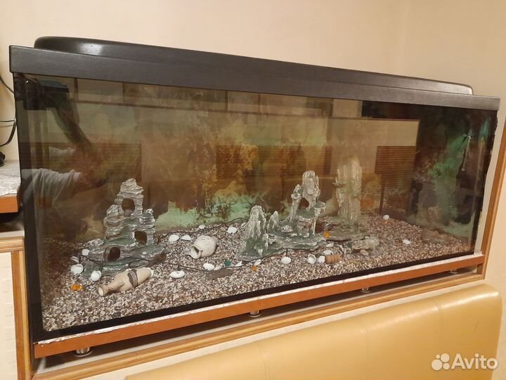 Аквариум