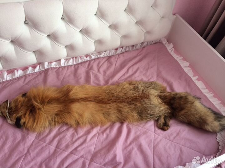 Шкурка животного