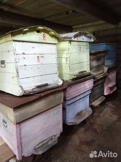 Продам ульи для пчел