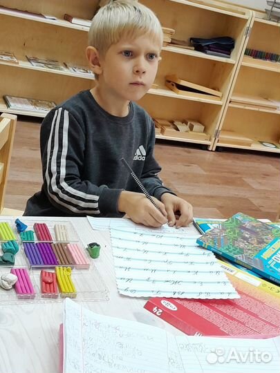 Частная школа