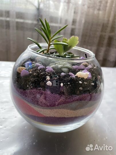 Флорариум с суккулентами