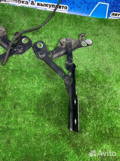 Петля капота Dodge Caliber PM EBA 2006