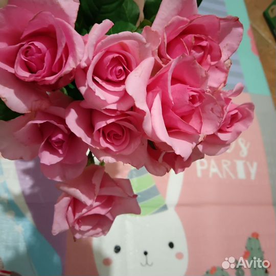 Розы букет 9 роз - 50 см