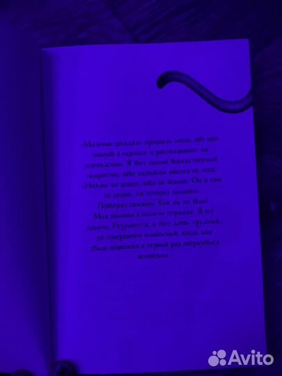 Книга Кати Брандис