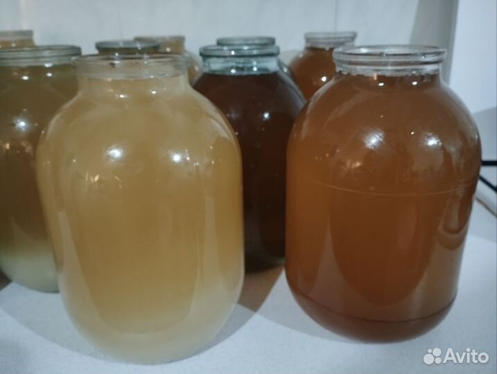 Топленый свиной жир