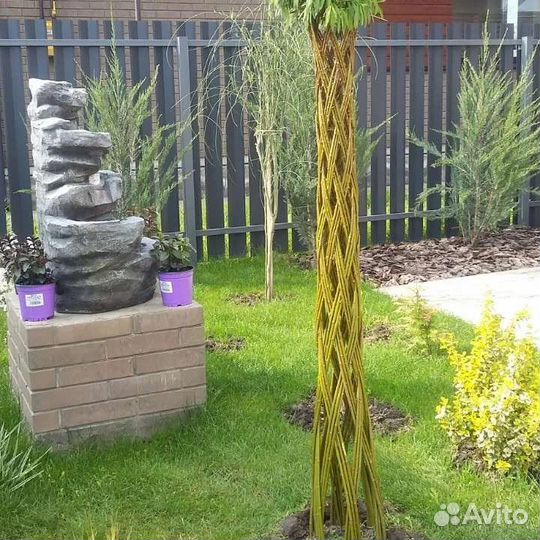 Плетеные деревья из ивы