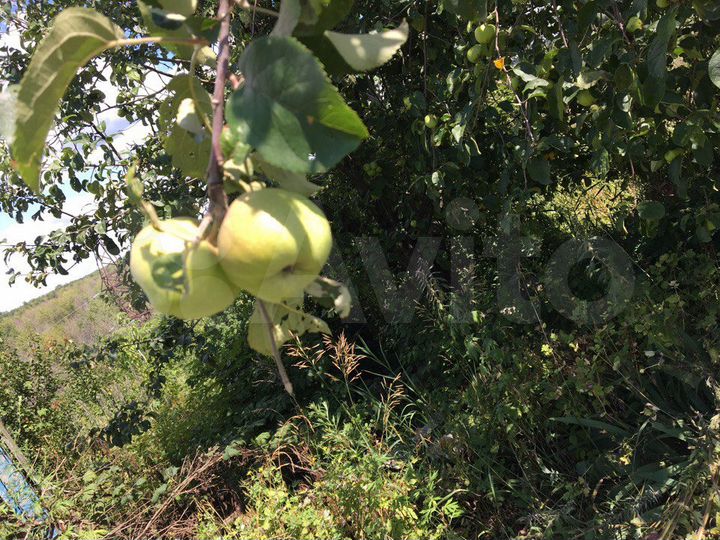 Участок 8,9 сот. (ИЖС)