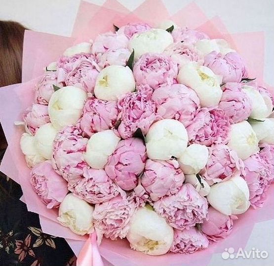 Пионы Букет пионов