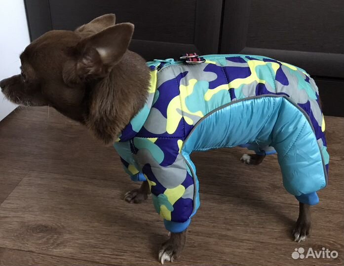 Зимний комбинезон для маленьких собак