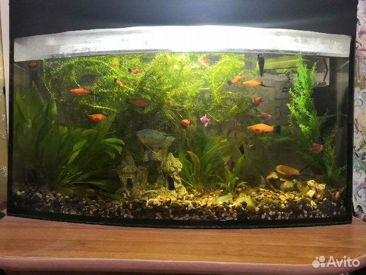Аквариум Большой со столом и фильтром