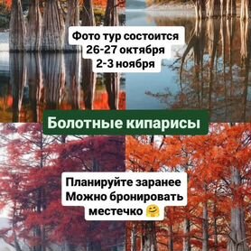 Фото тур Багряные кипарисы