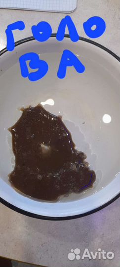 Гадание Ясновидение. Любовная Магия,обучение