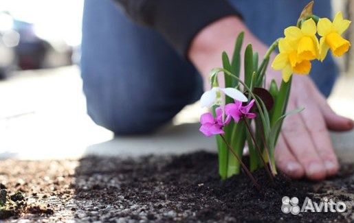 Уборка могил и захоронений на кладбище