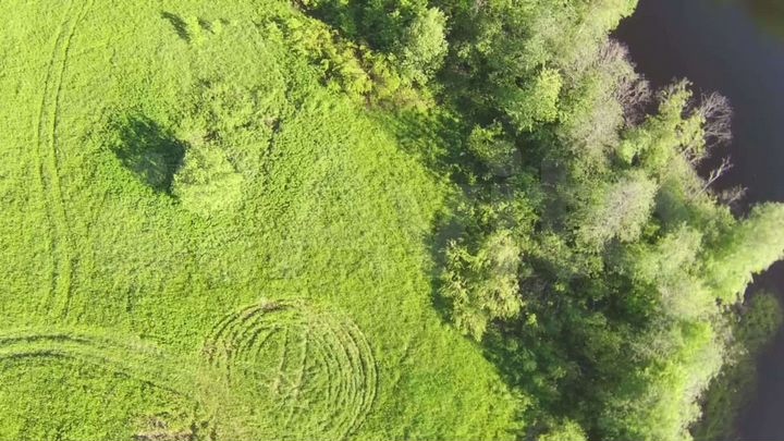 Участок 1,12 га (СНТ, ДНП)