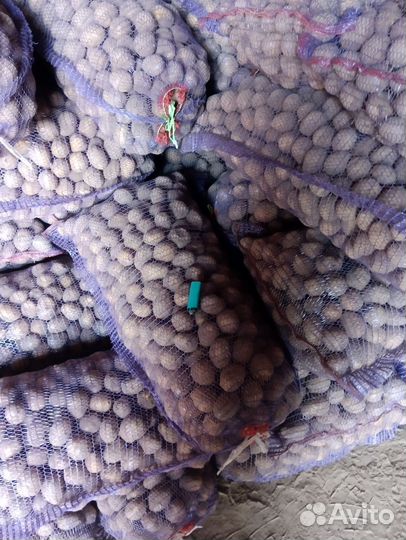 Картофель средний на еду