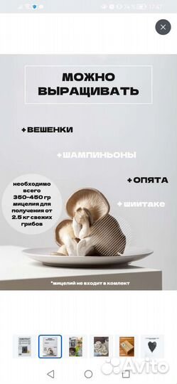 Субстрат для выращивания грибов