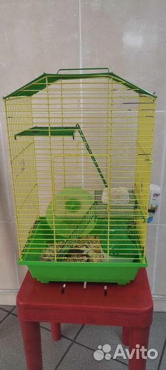 Клетка с хомяком